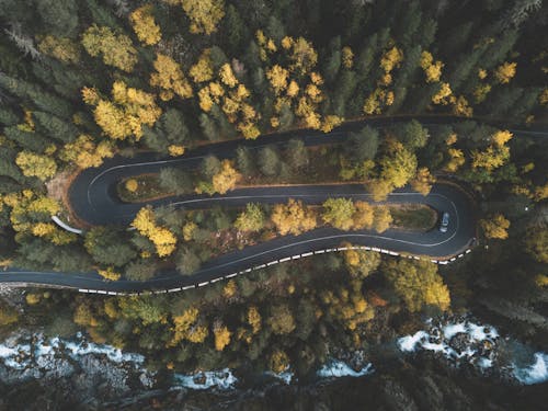 Free Top View Photo of Curved Road Surrounded by Trees Stock Photo