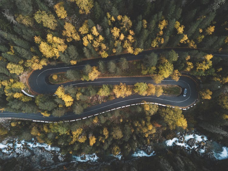 Top View Photo Of Curved Road Surrounded By Trees