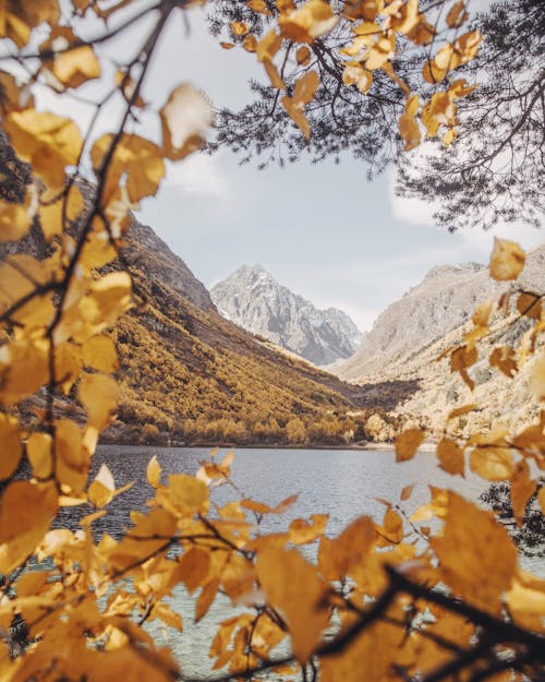 Безкоштовне стокове фото на тему «восени листя фону, гори, Денне світло»