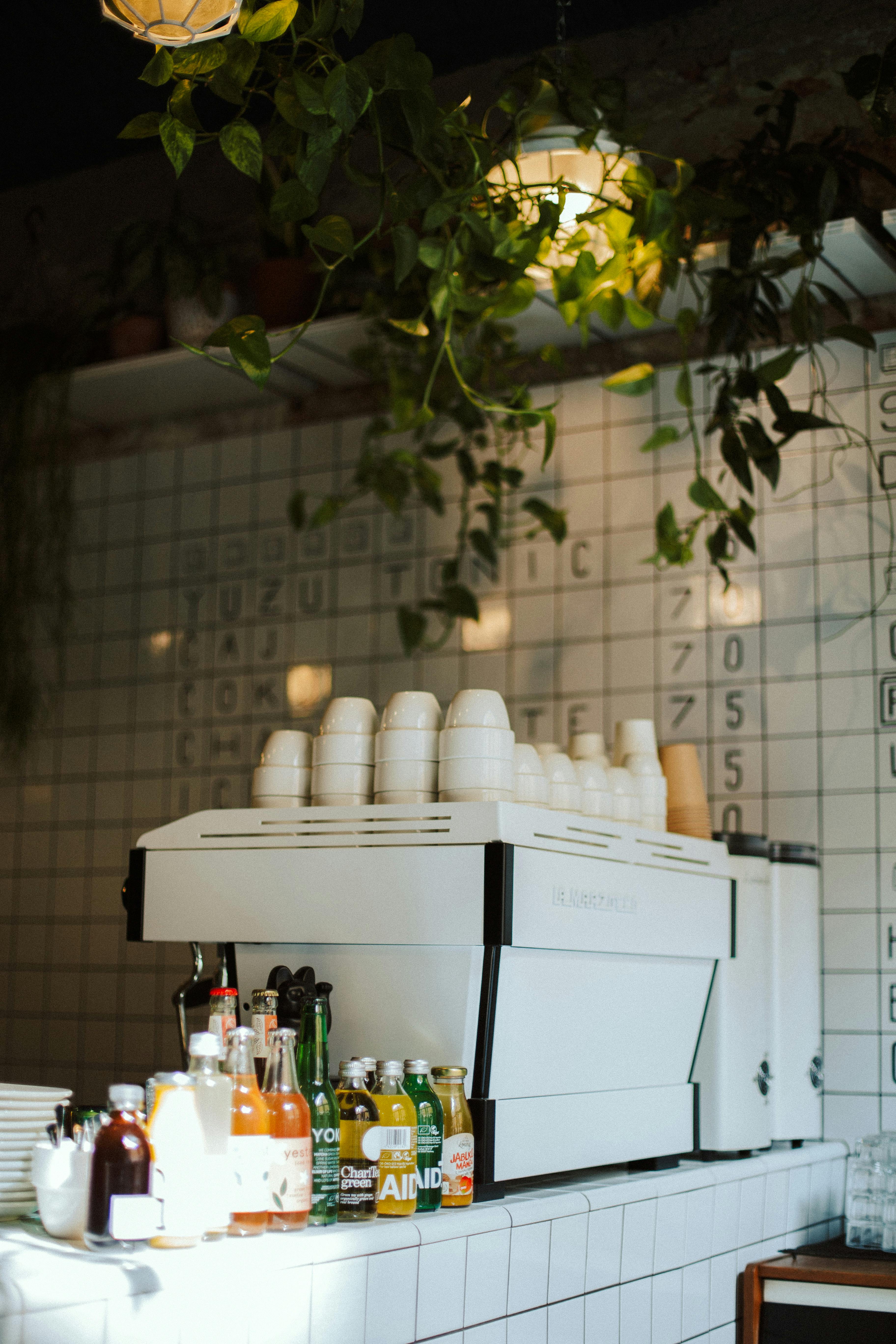 A café counter in Prague with coffee equipment, plants, and beverages.
