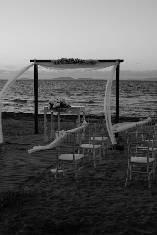 결혼 사진, 바다, 블랙 앤 화이트의 무료 스톡 사진