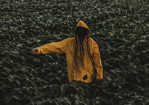 Person Wearing Yellow Raincoat Surrounded by Green Leaf Plants