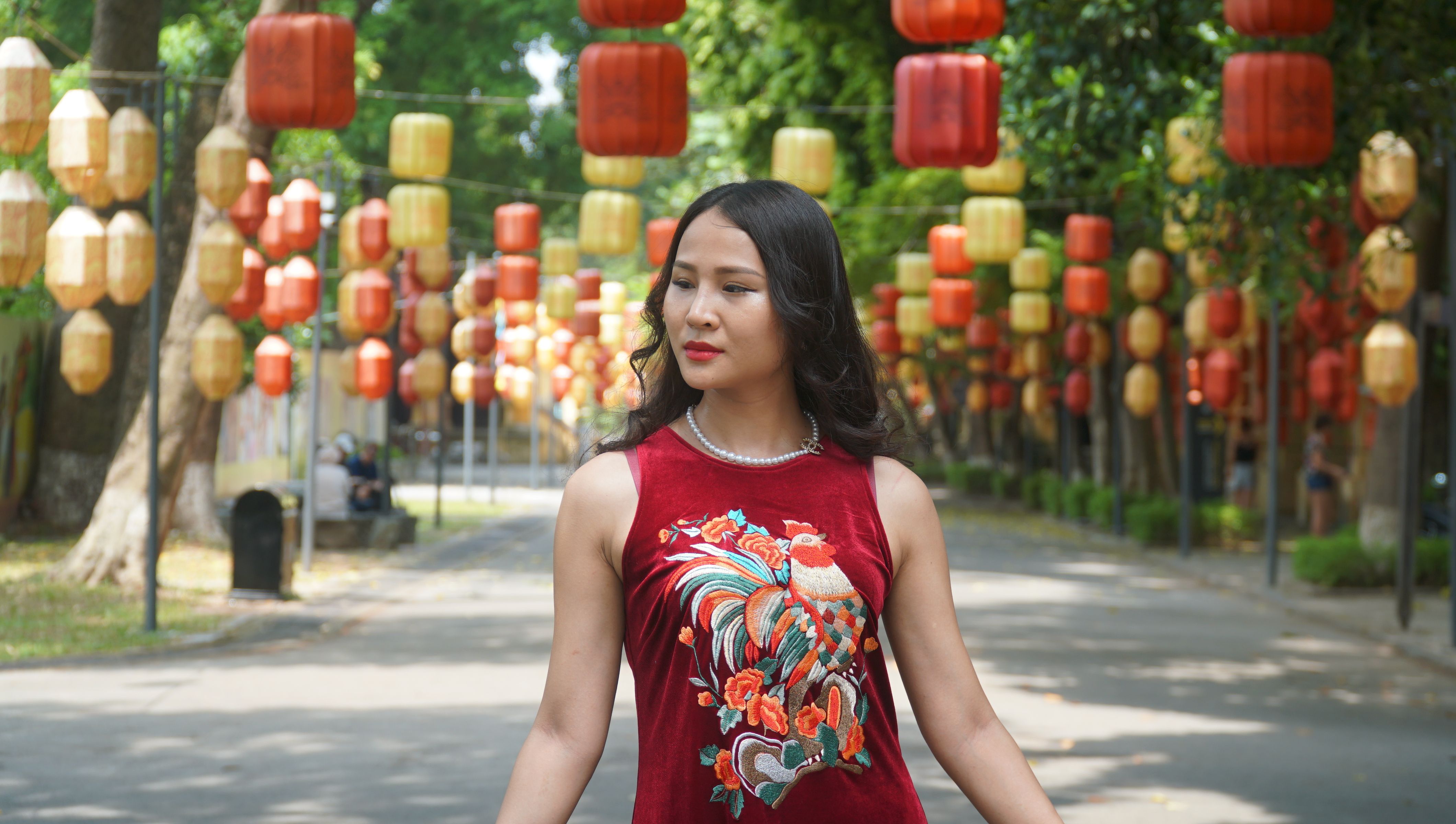 Young Woman in a Red Dress Posing in a Park Decorated with Lanterns ...