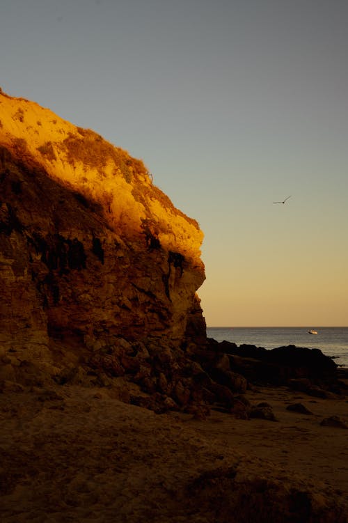 垂直ショット, 岩石層, 岸の無料の写真素材