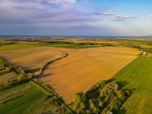 Imagine de stoc gratuită din câmp, fotografie cu drona, la țară