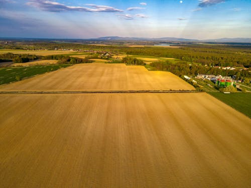 Drone Shot of Fields in Summer