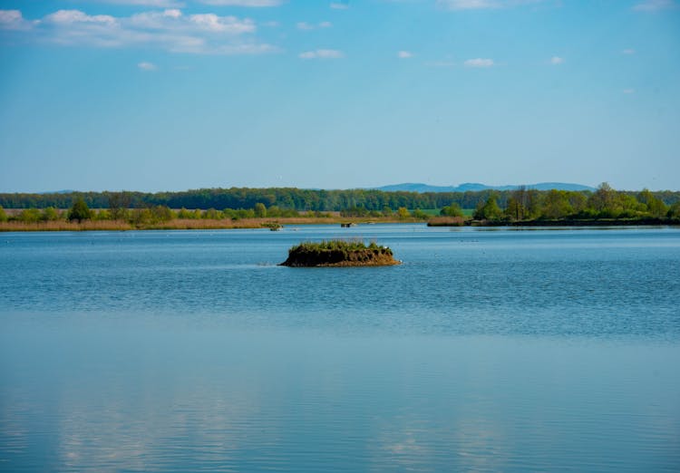 Island On Lake In Countryside