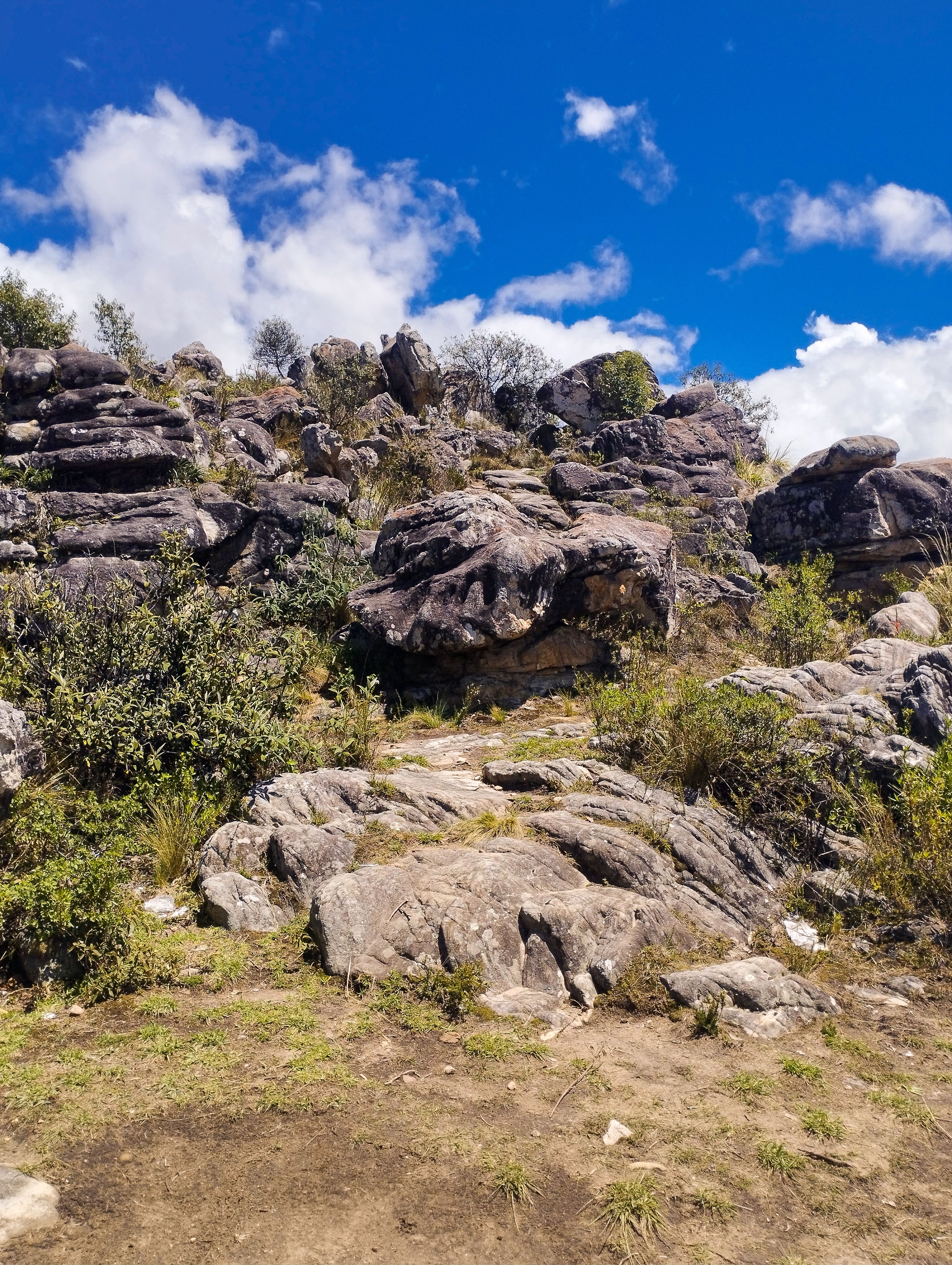Rocks and Bushes on Hill · Free Stock Photo