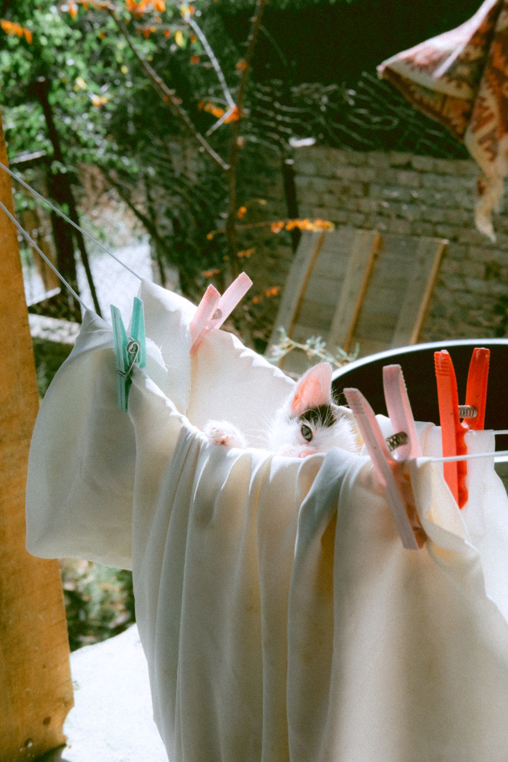 Gloth String White Cloth Drying on Strings · Free Stock Photo