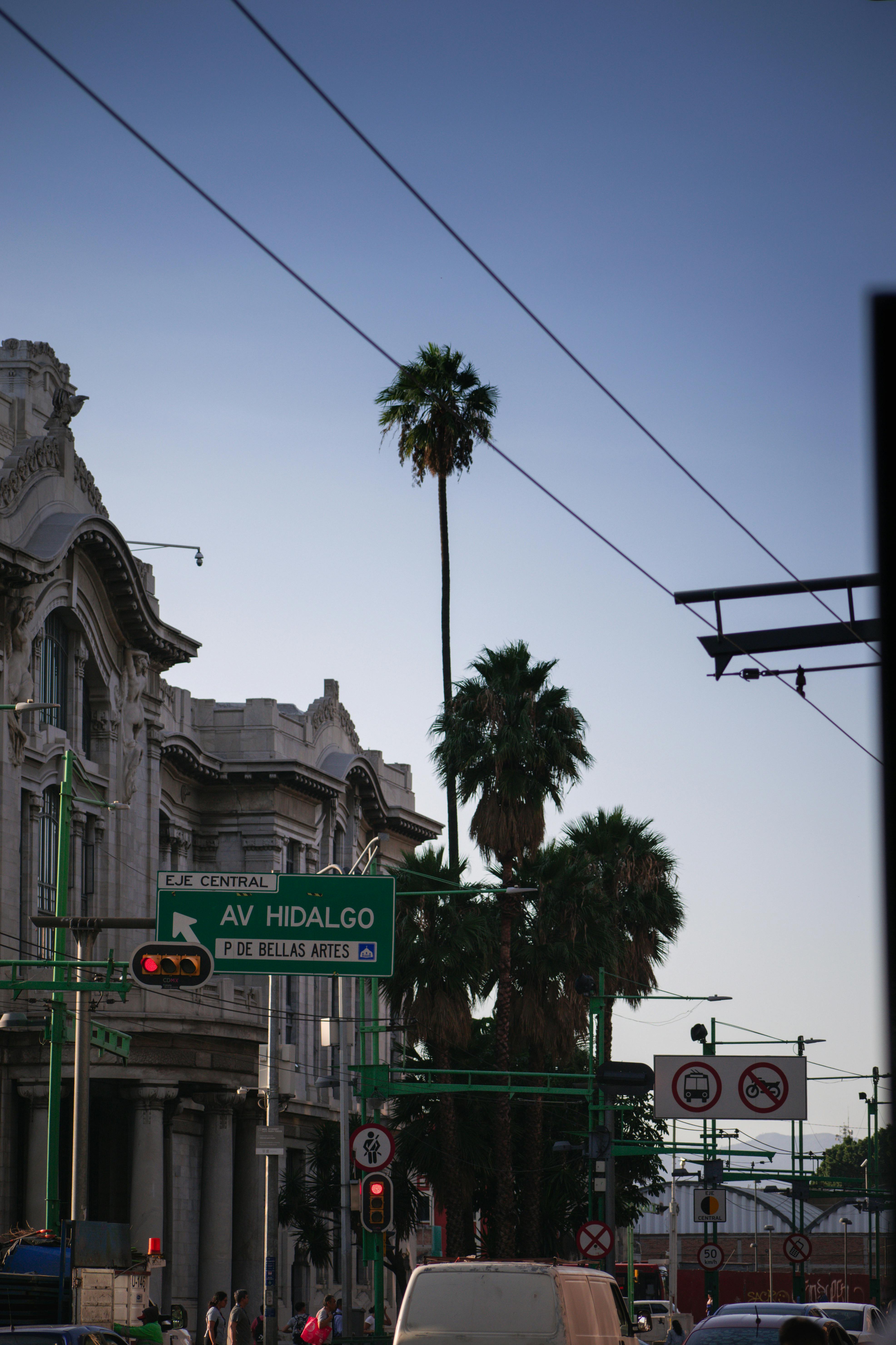 Street view in Mexico City with palm trees and Palacio de Bellas Artes in the background.