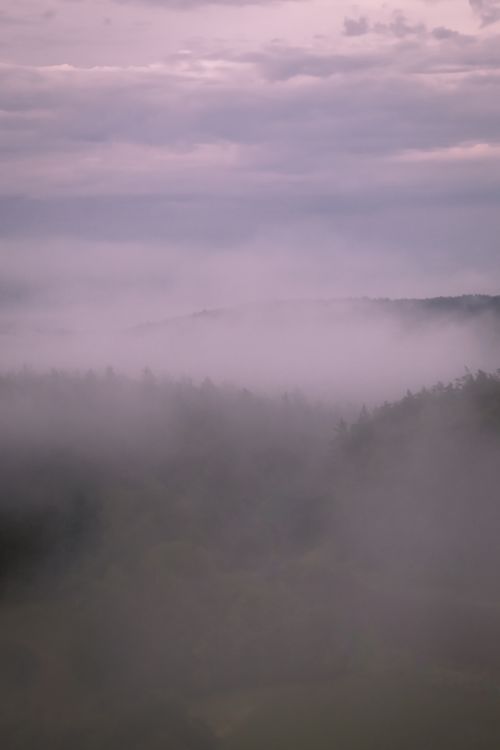 Free Ethereal view of misty forest in Bavaria, Germany under foggy skies. Stock Photo