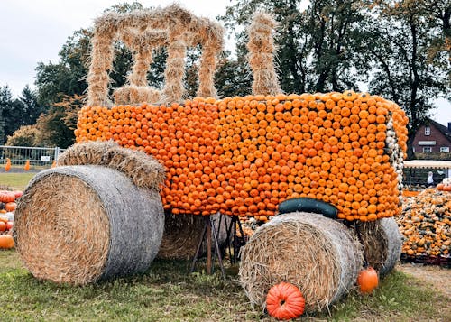 Halloween Hay and Pumpkin Decoration