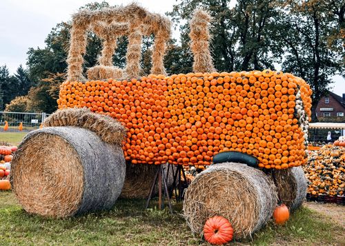 Free Creative tractor made from pumpkins and hay bales at a fall festival, captured in Hamburg. Stock Photo