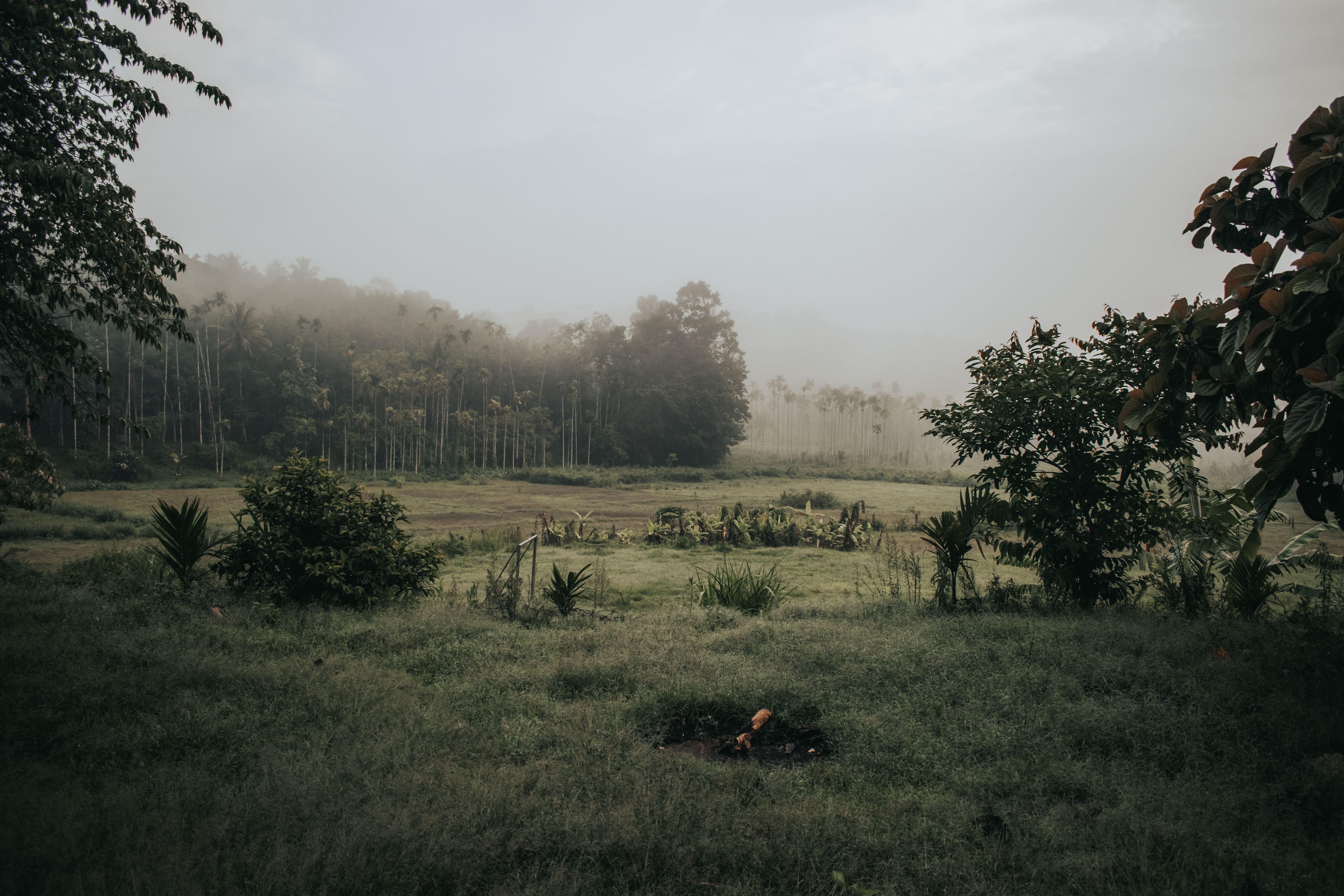 Avyukta Stay Coorg: A Guide to This Boutique Escape