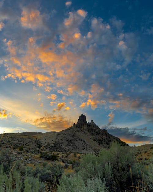 Grassland and Hill behind at Sunset