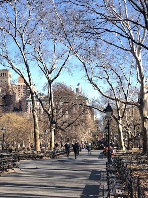 Free Alley in Park in New York Stock Photo