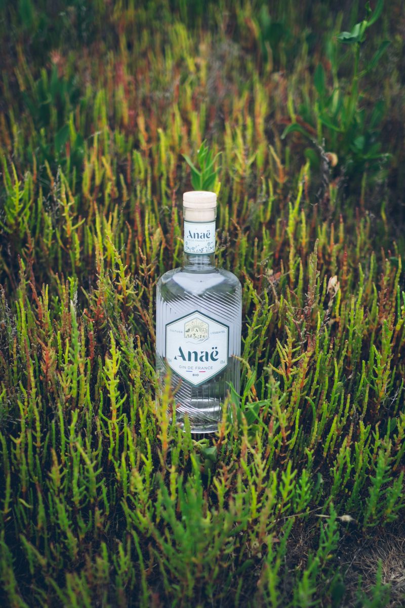 Gin Real Botânico