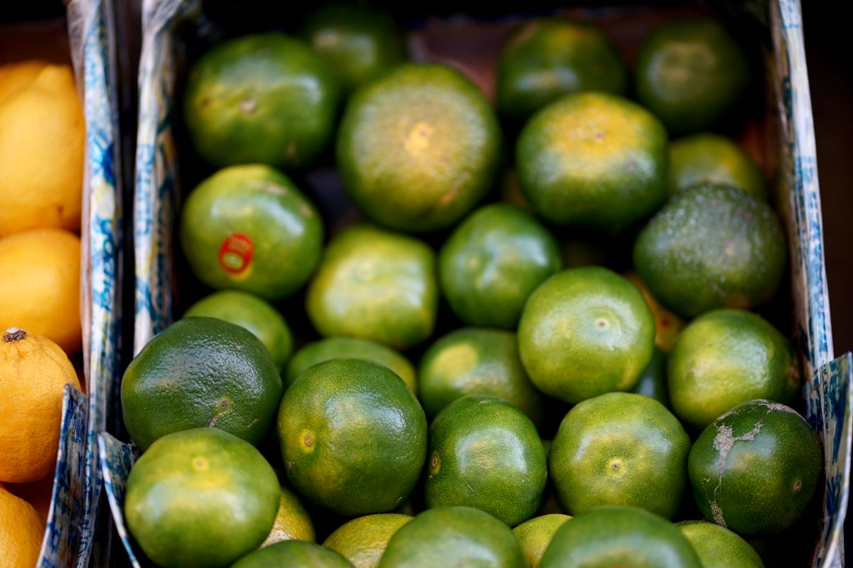 fresh Nagpur oranges, the GI-tagged citrus crop that gives Nagpur its title of India's orange capital