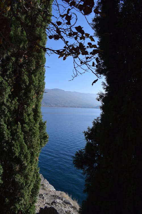 Foto d'estoc gratuïta de arbre verd, atracció turística, blau