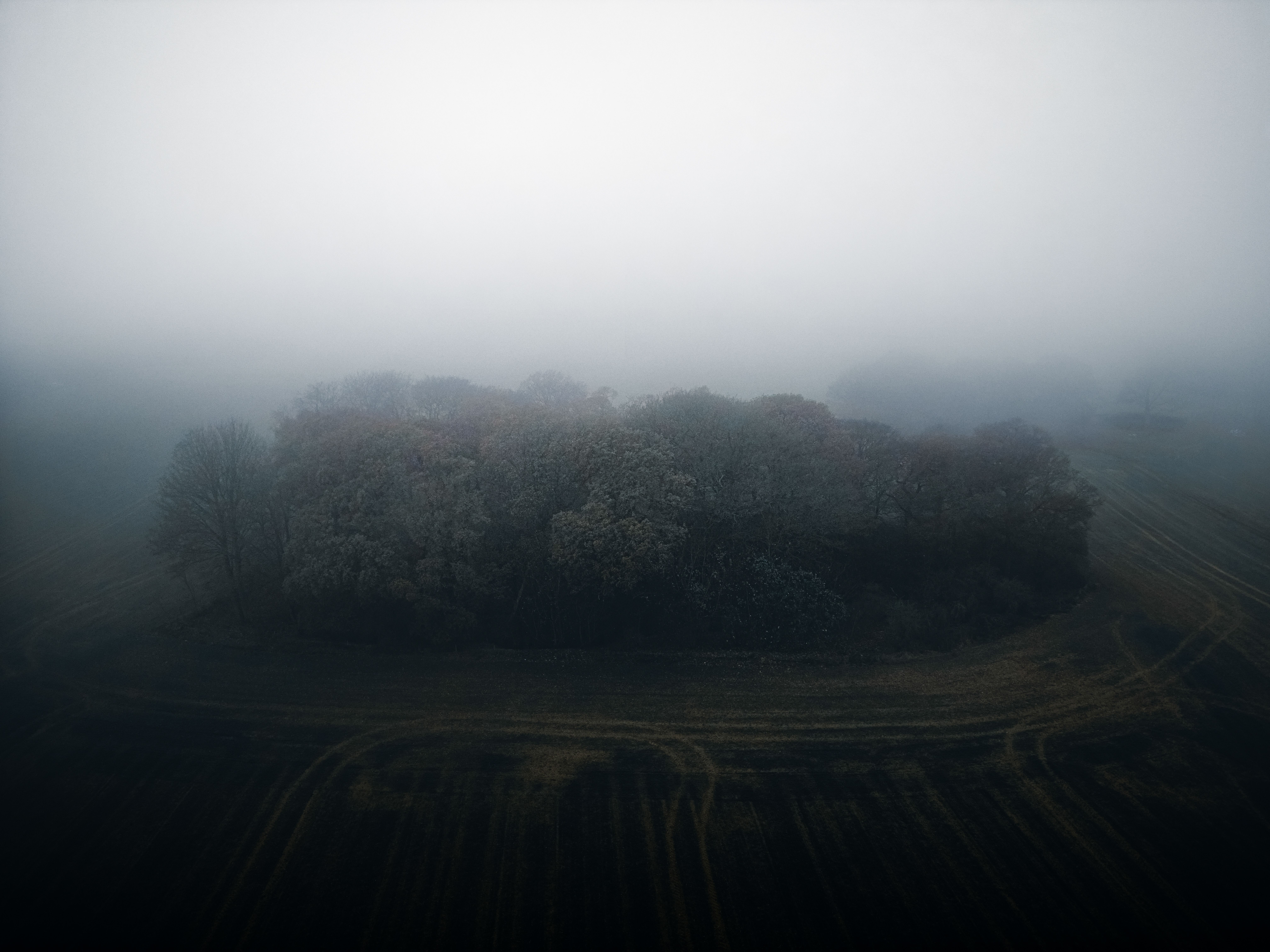 Drone shot of misty rural landscape near Ripon, England capturing fog and trees.