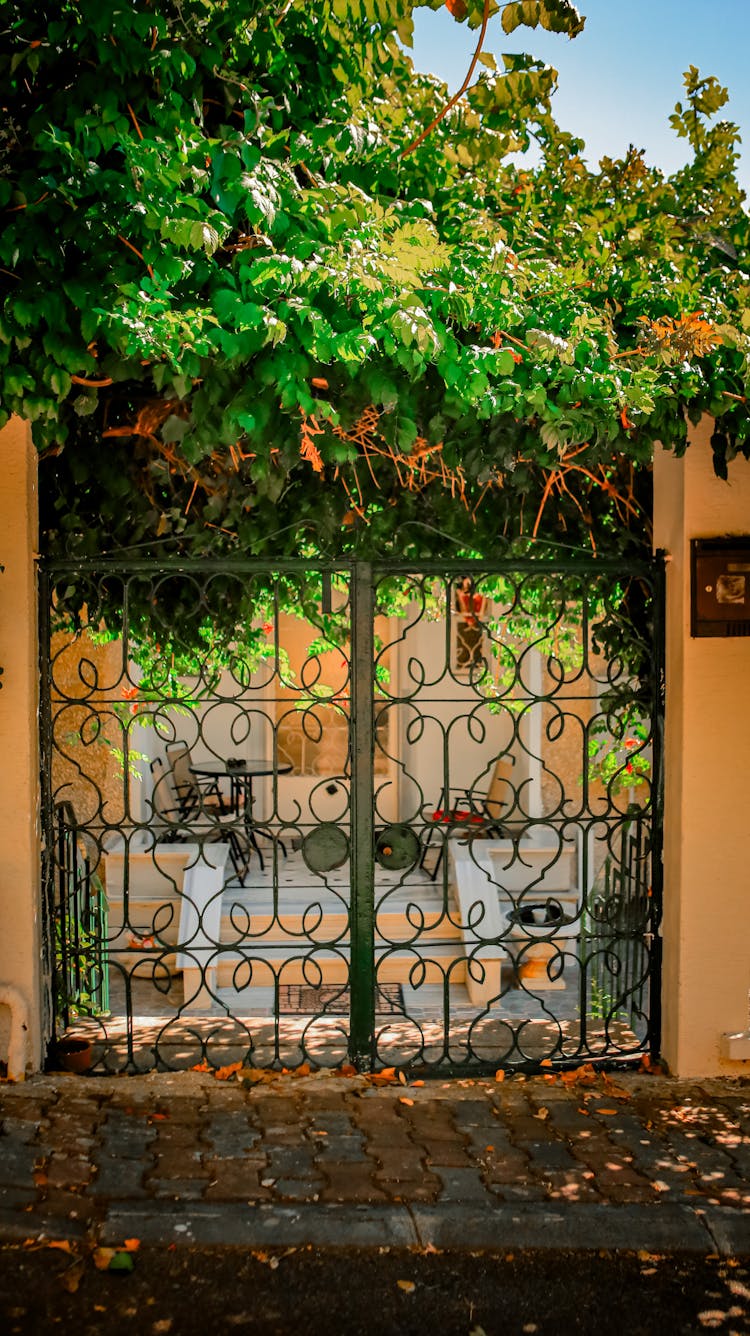 Decorative Gate Under Lush Foliage