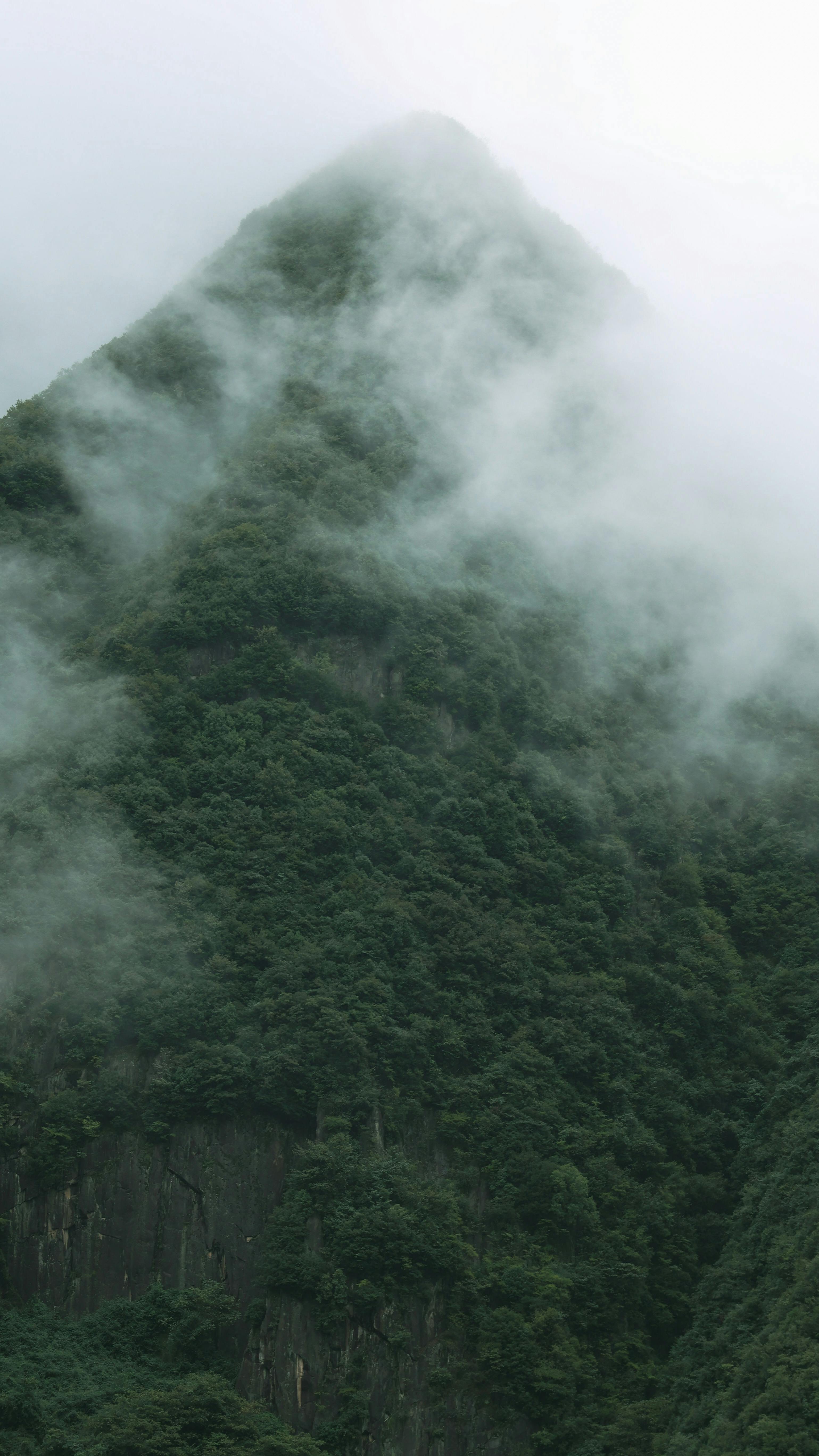 An aerial view of a misty mountain peak covered with dense greenery and clouds, creating a serene natural scene.