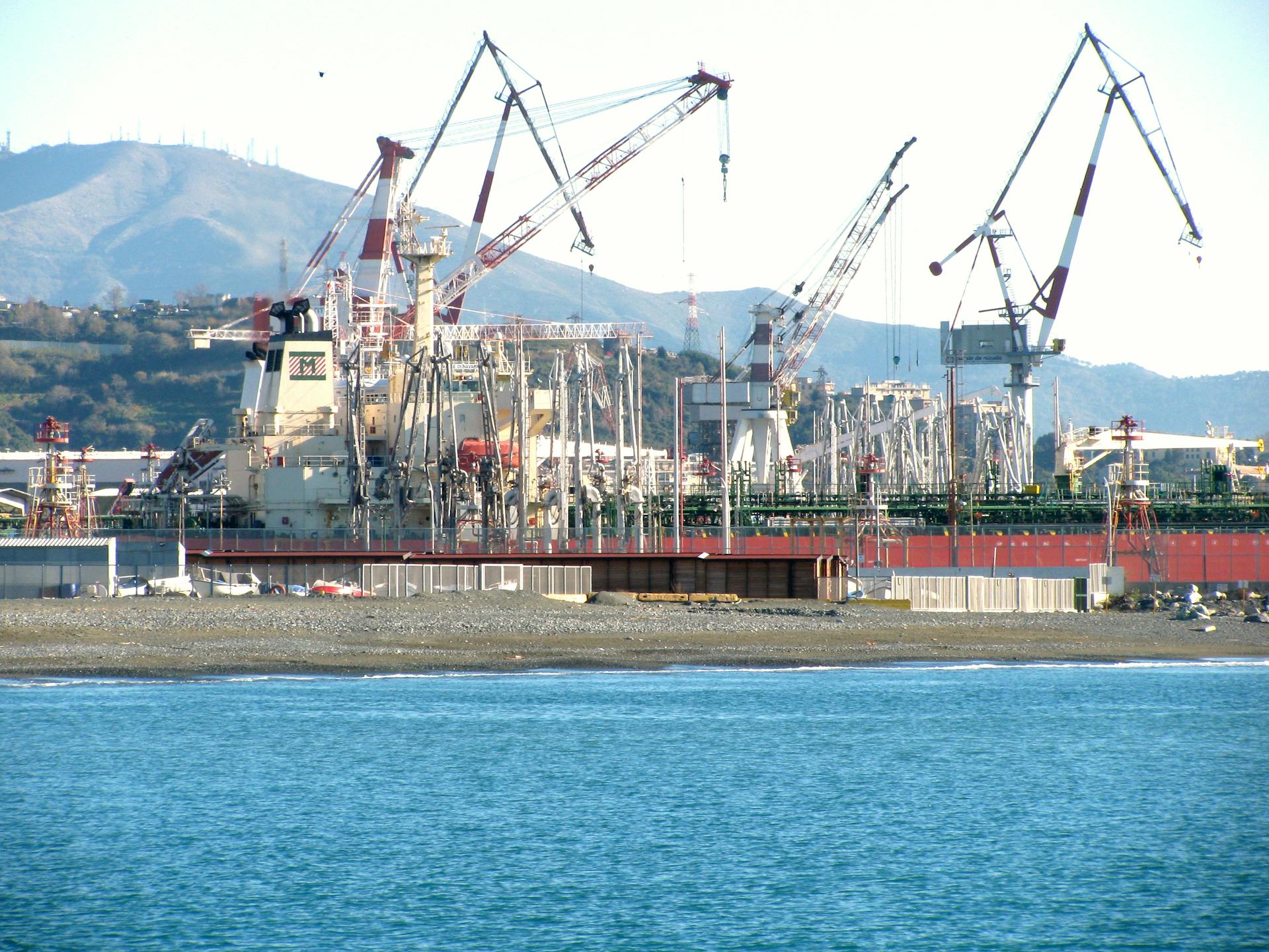 Panoramic view of a busy harbor with cranes and cargo ships against mountain backdrop.