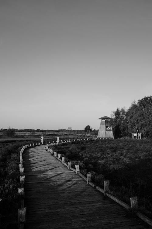 Gratis lagerfoto af gangsti, gråtoneskala, landdistrikt