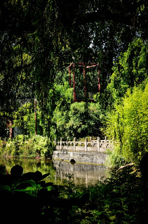 Free stock photo of bridge, bush, chinese architecture