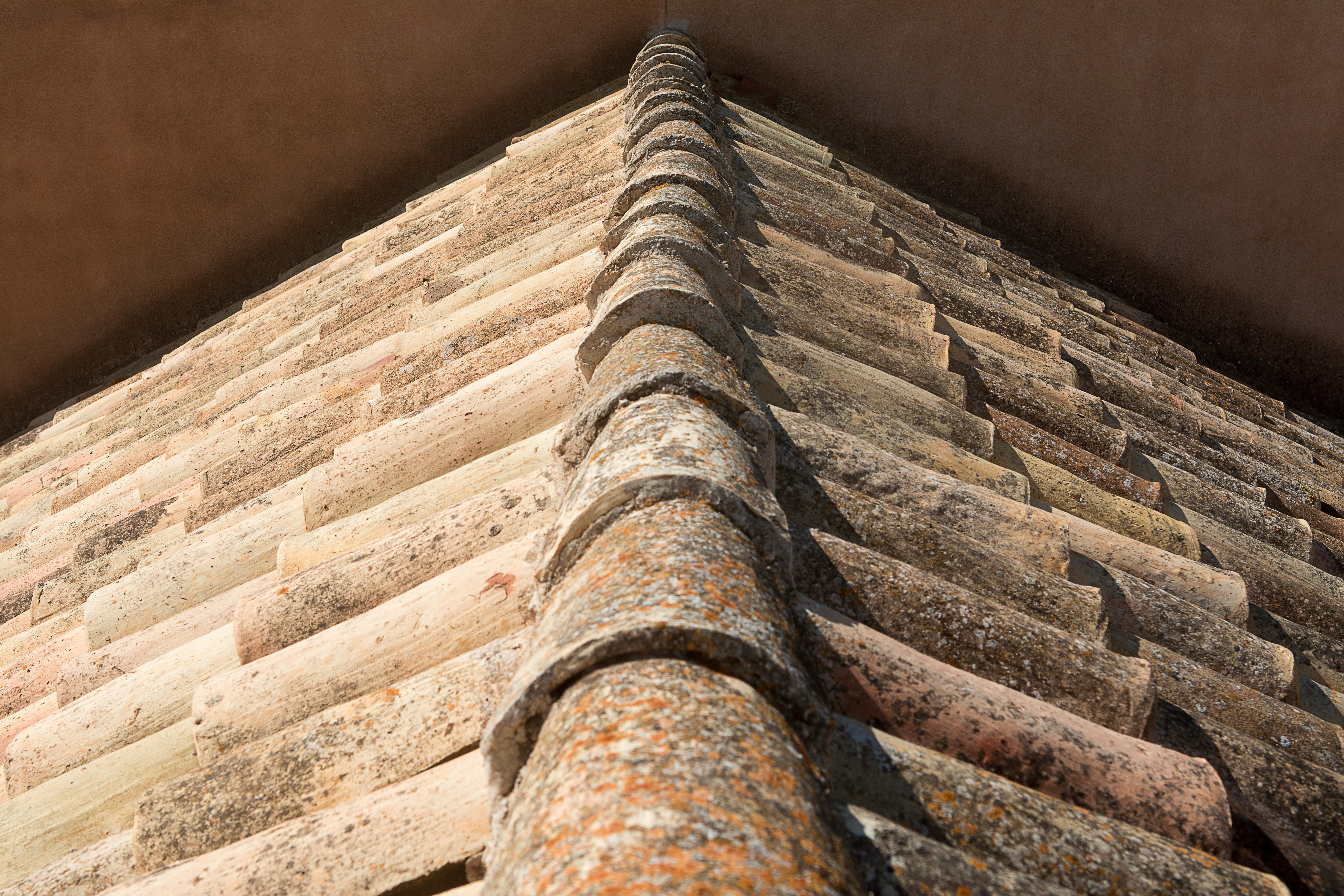 Close-up shot of vintage clay roof tiles with visible moss, showcasing texture and age.