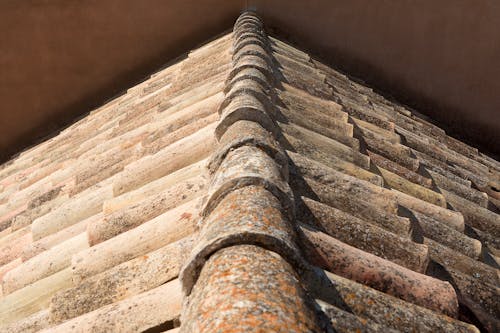 Foto profissional grátis de antigo, azulejo, cerâmica