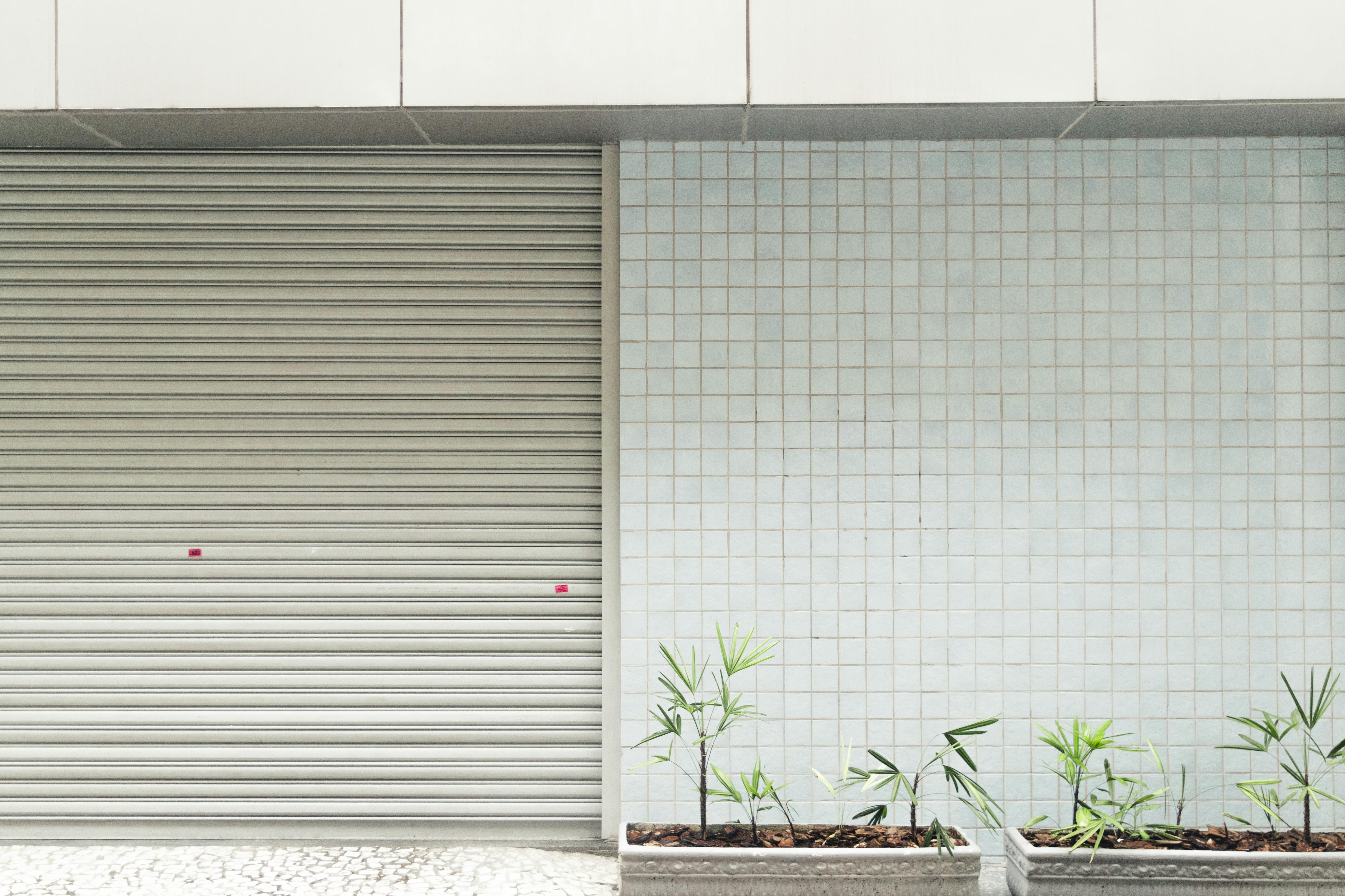 Red, White, and Blue Frames · Free Stock Photo