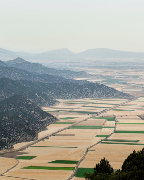 Δωρεάν στοκ φωτογραφιών με αγροτικός, γήπεδα, εξοχή