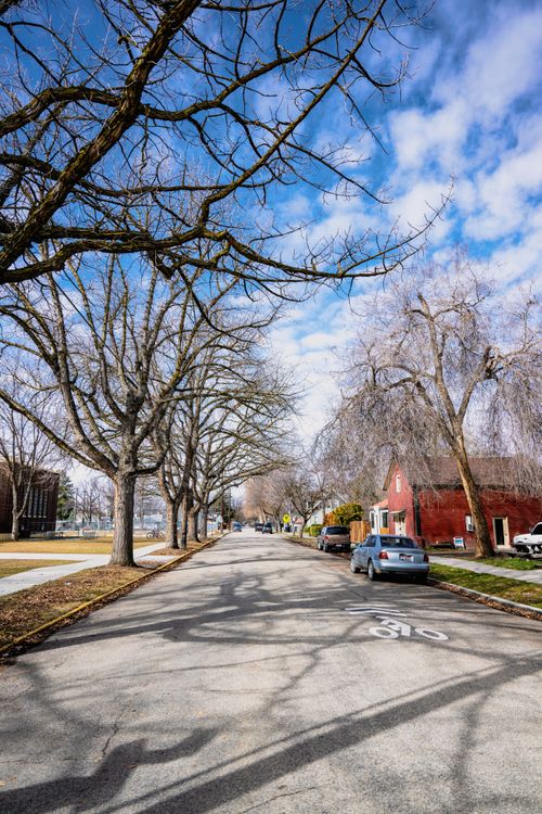 Peaceful suburban street of homes under a clear blue winter sky in Pennsylvania