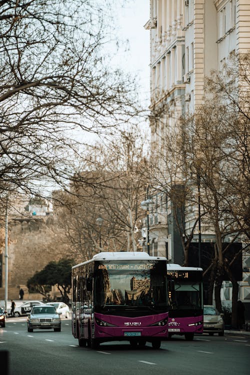 Buses on the Street in City