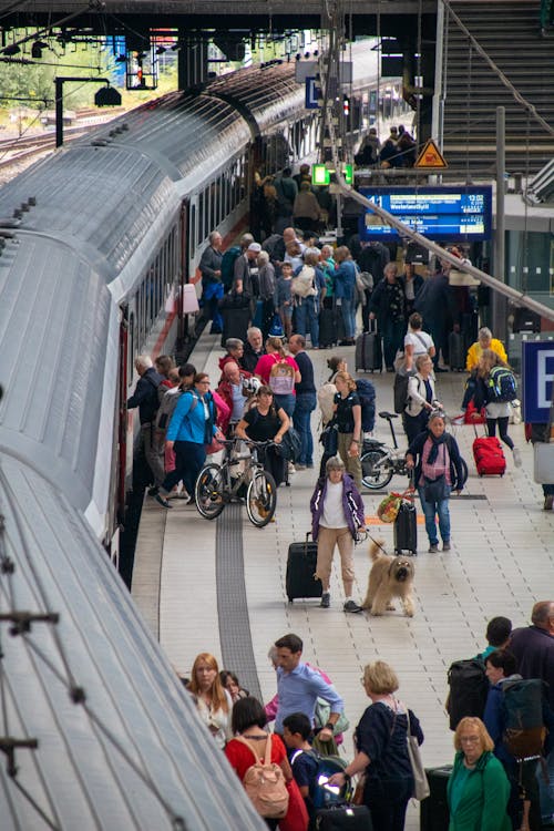 군중, 기차, 기차역 플랫폼의 무료 스톡 사진