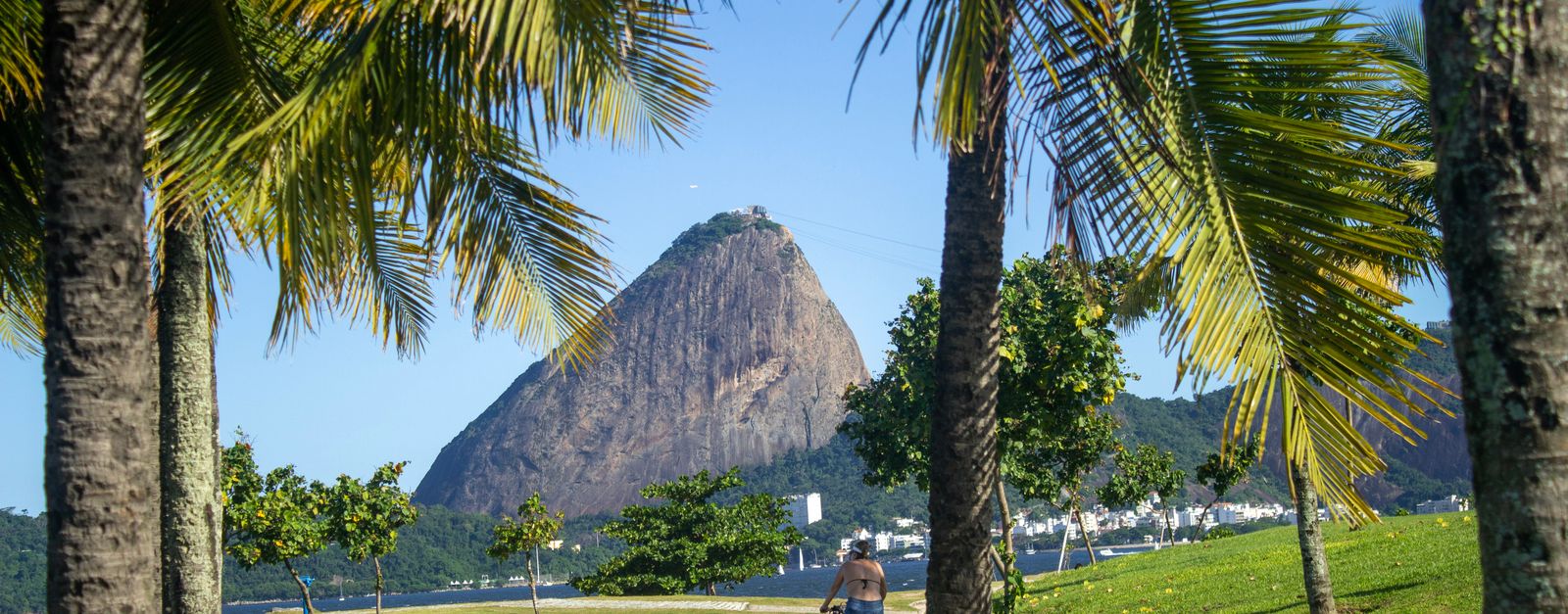 A cyclist rides through a park with a view of the iconic Sugarloaf Mountain in Rio de Janeiro.