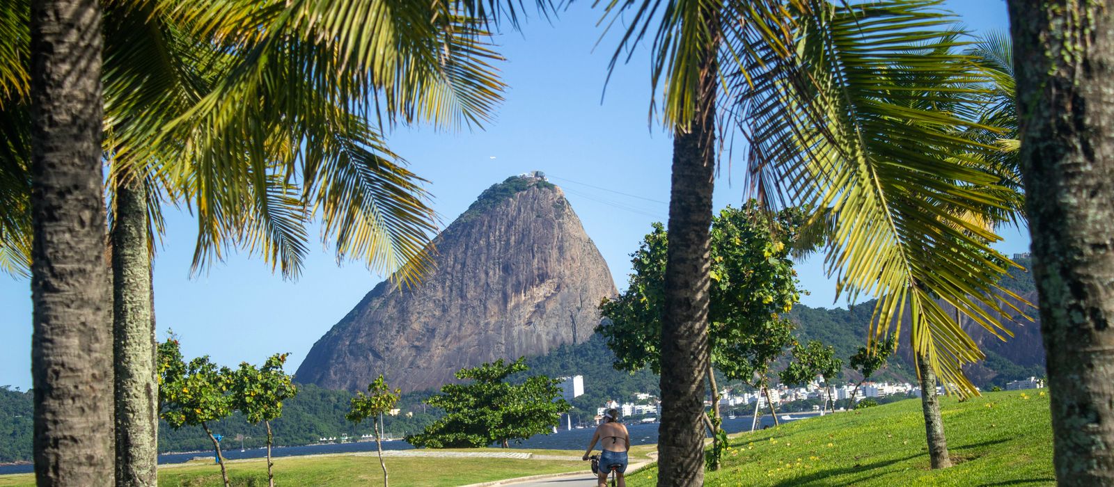 A cyclist rides through a park with a view of the iconic Sugarloaf Mountain in Rio de Janeiro.
