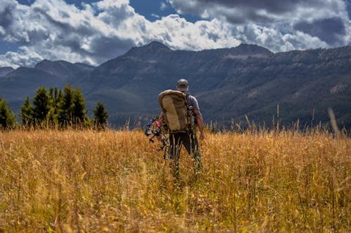 Foto stok gratis berburu, busur, hiking