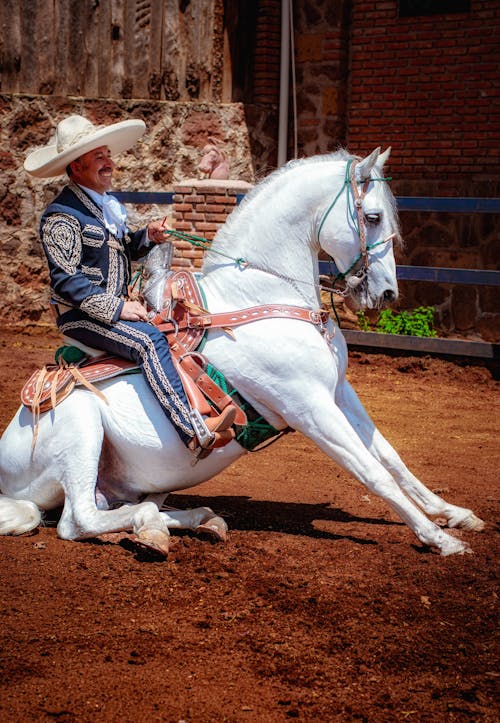 Man in a Costume Riding on a White Horse