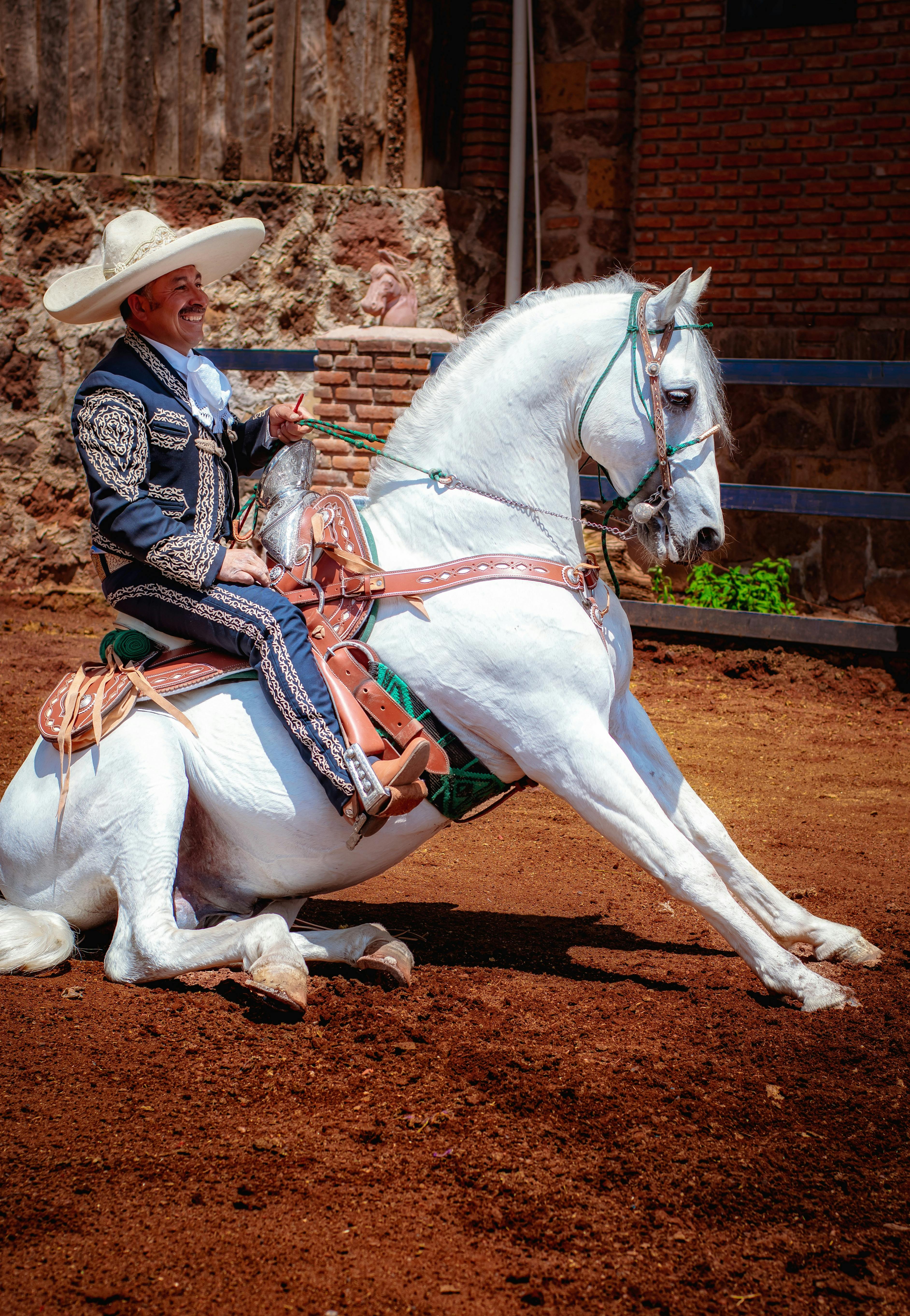 Man in a Costume Riding on a White Horse · Free Stock Photo