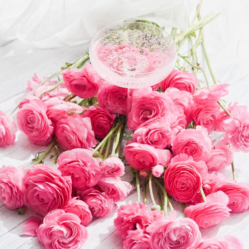 무료 꽃, 분홍색, 수직 쐈어의 무료 스톡 사진