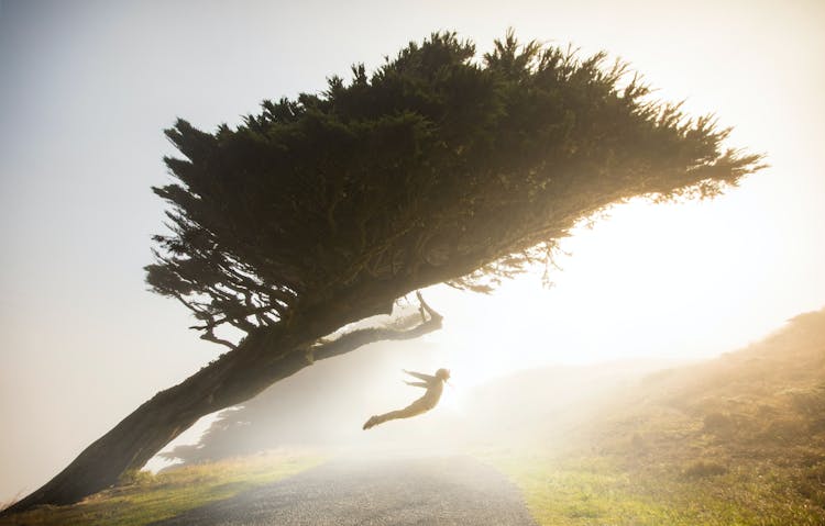 Silhouette Of Person In Jump