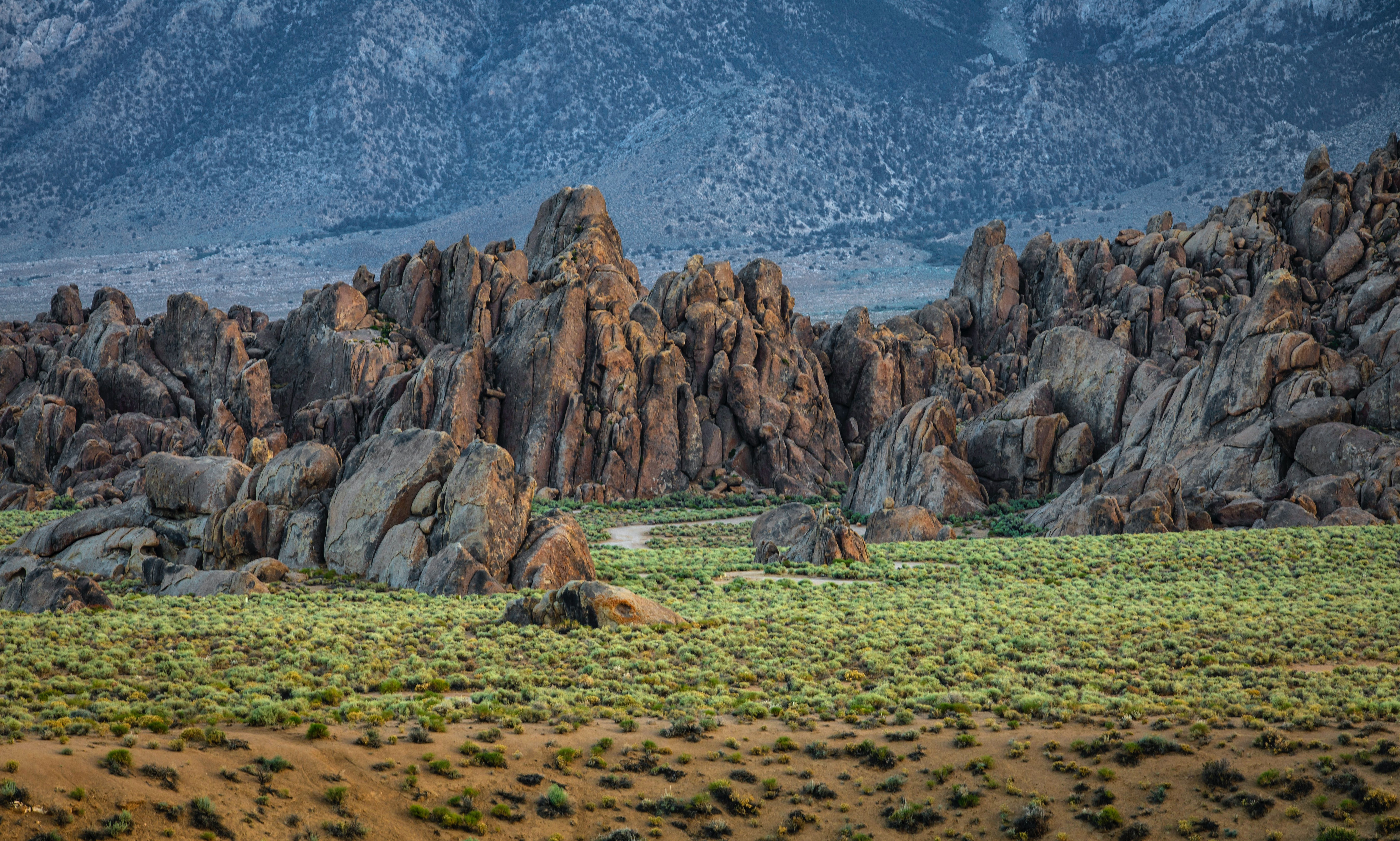 Antelope Valley high desert near Quartz Hill CA