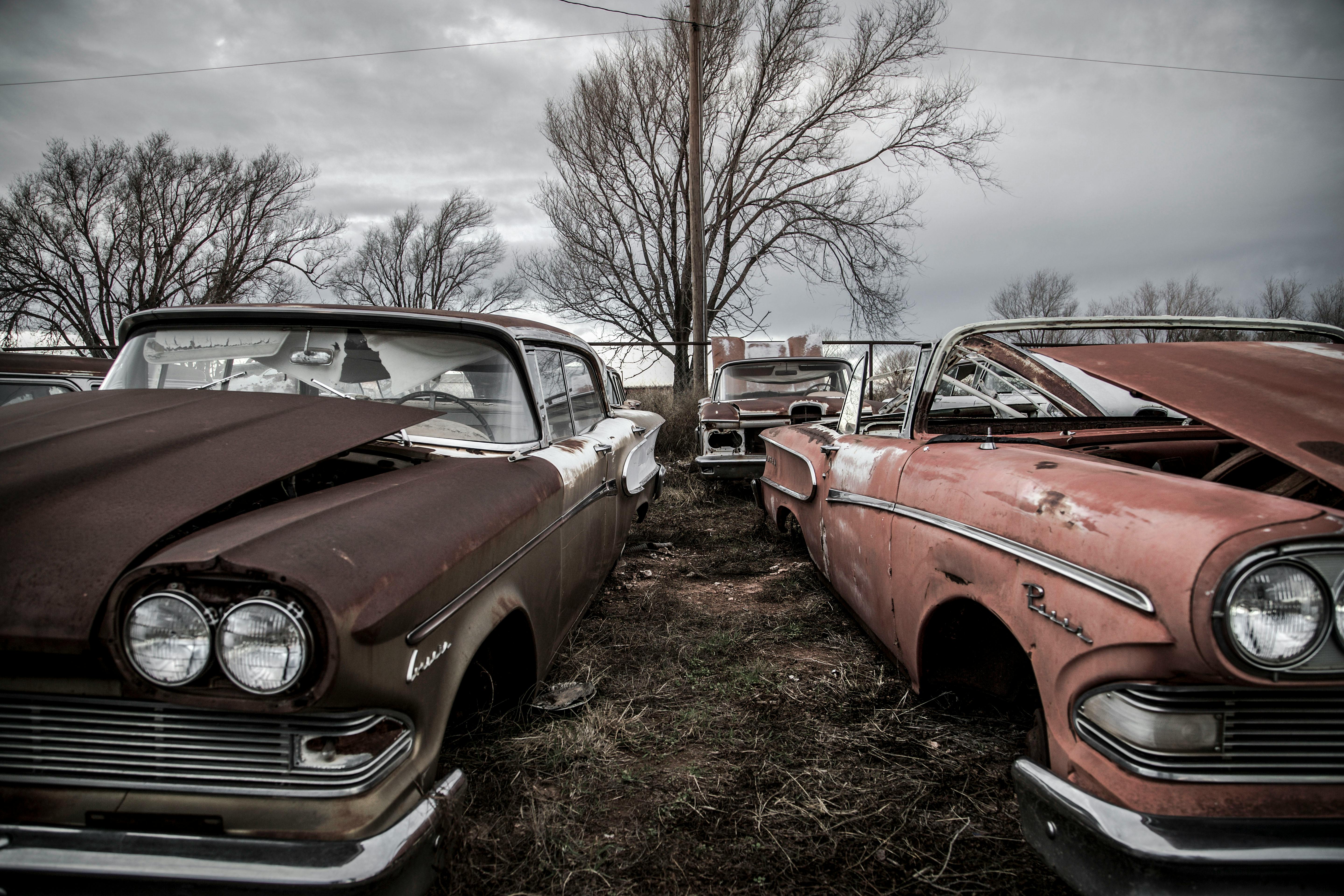 Where’s the Best Place to Buy Used Cars? — Photo by Stephen Leonardi on Pexels