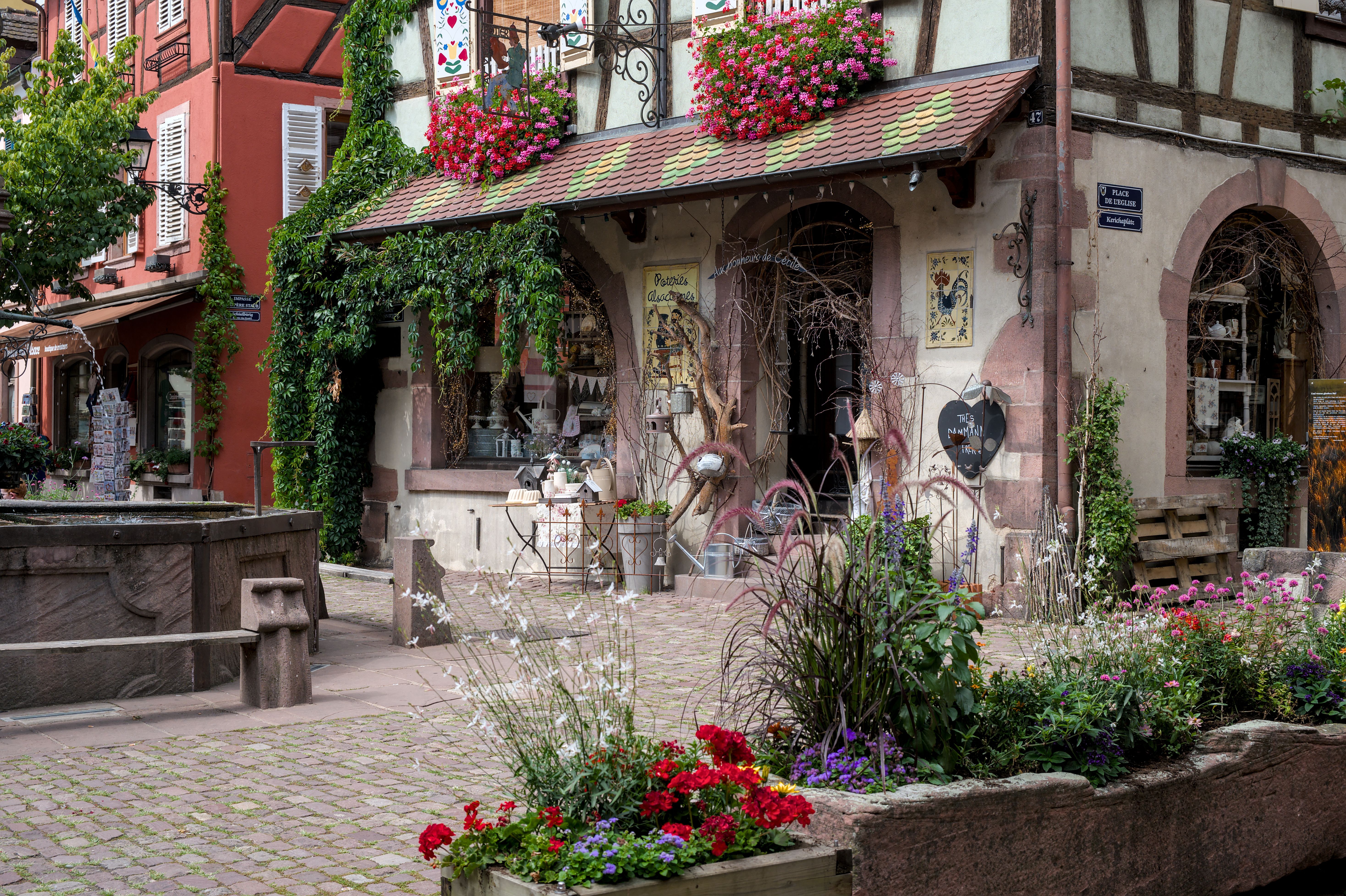 Tours, activities & tickets in Kaysersberg