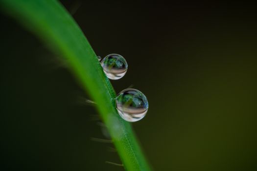 Water Drop at the Edge