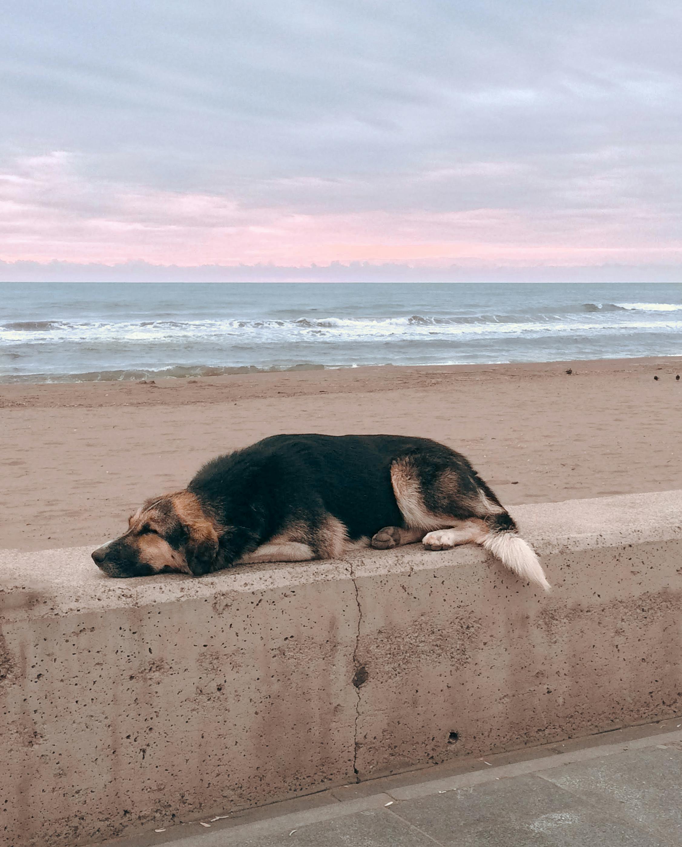 5 Anime like Solo Leveling With OP MC