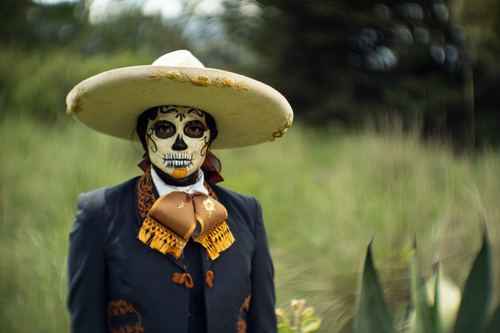 Free Elegant portrait of a Catrina figure in traditional Mexican attire with intricate makeup in a lush outdoor setting. Stock Photo