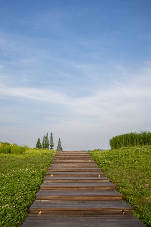 Wooden Stairs on Hill